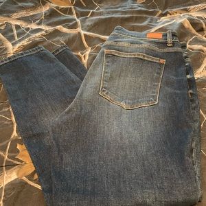 Judy blue skinny fit jeans